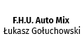 Łukasz Gołuchowski FHU Auto Mix
